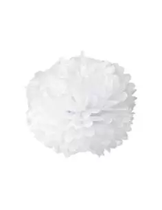 Pompon en papier 30 cm (10 u.)