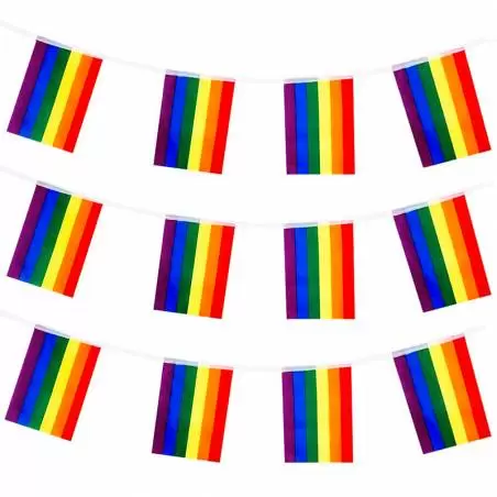 Banderines LGTBI de poliéster (25 M.)