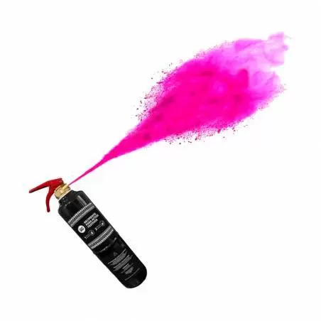 Holi extintor de pols seca 1 kg - 2