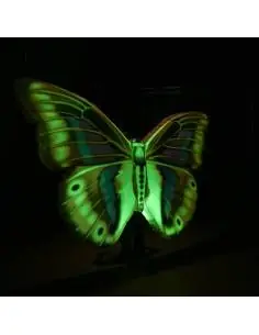 Mariposas Hinchables - EUTOPICA
