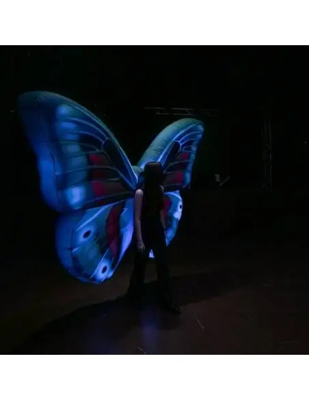 LED Inflatable Butterflies - EUTOPICA