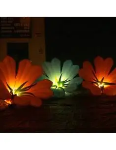 Flors inflables - EUTOPICA 2